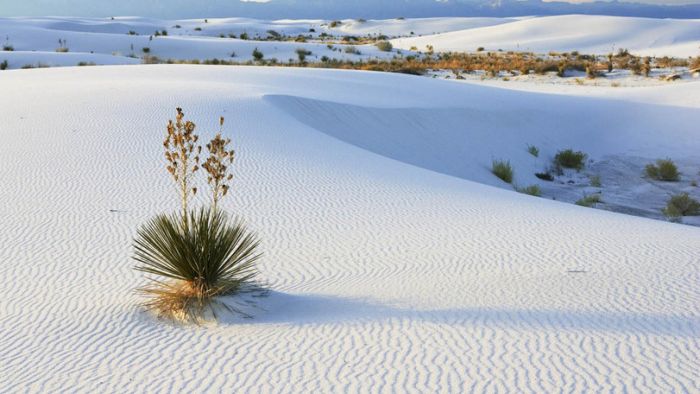 White Sands National Monument, New Mexico, United States