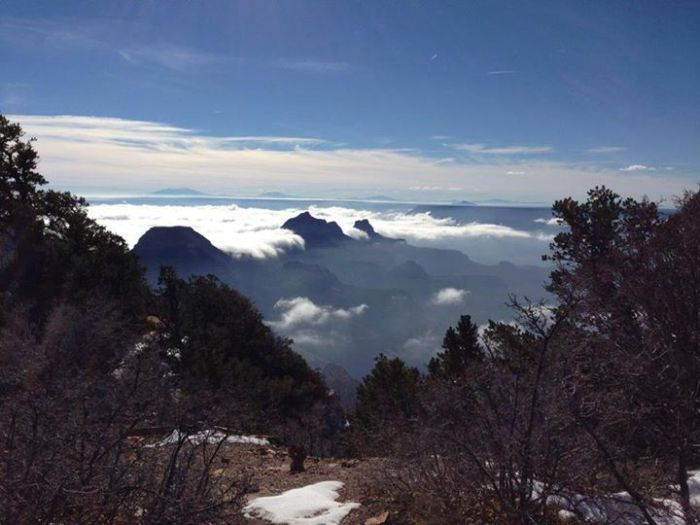 Grand Canyon covered in fog, Arizona, United States