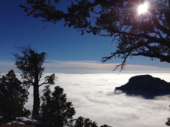 Grand Canyon covered in fog, Arizona, United States