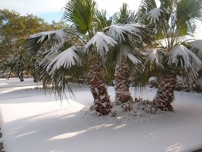 2013 Middle East cold snap, Alexa winter storm, Cairo, Egypt