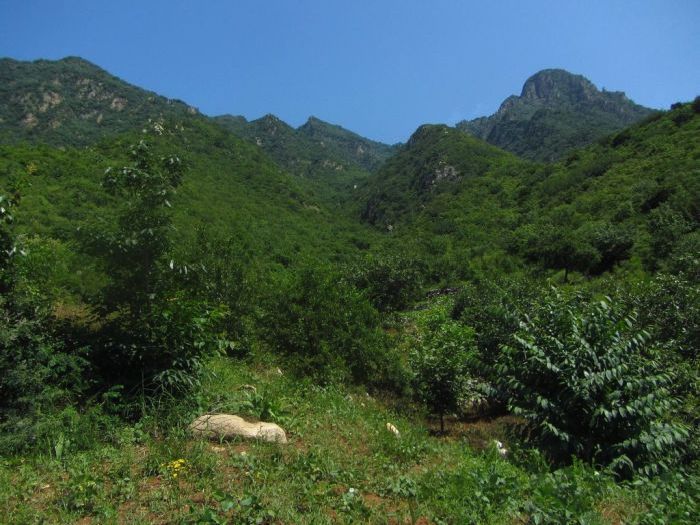 Great Wall of China, Huanghuacheng, Jiuduhe, Huairou District, Beijing, China