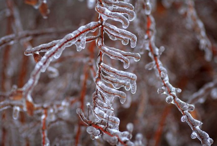 2013 Central and Eastern Canada ice storm, Toronto, Ontario, Canada