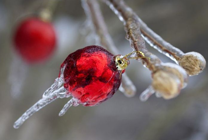 2013 Central and Eastern Canada ice storm, Toronto, Ontario, Canada