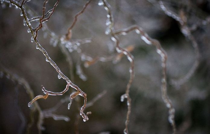 2013 Central and Eastern Canada ice storm, Toronto, Ontario, Canada