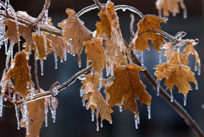 2013 Central and Eastern Canada ice storm, Toronto, Ontario, Canada