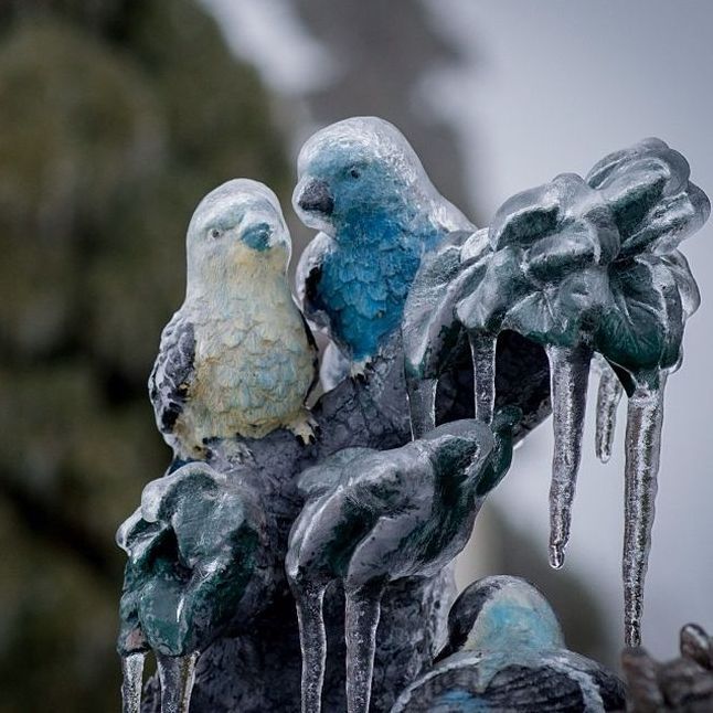 2013 Central and Eastern Canada ice storm, Toronto, Ontario, Canada