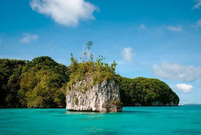 Jellyfish Lake, Eil Malk island, Palau, Pacific Ocean