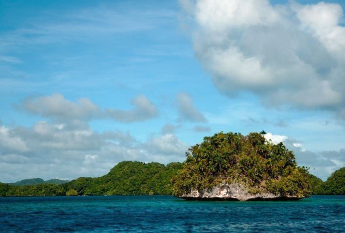 Jellyfish Lake, Eil Malk island, Palau, Pacific Ocean