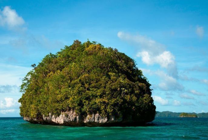 Jellyfish Lake, Eil Malk island, Palau, Pacific Ocean