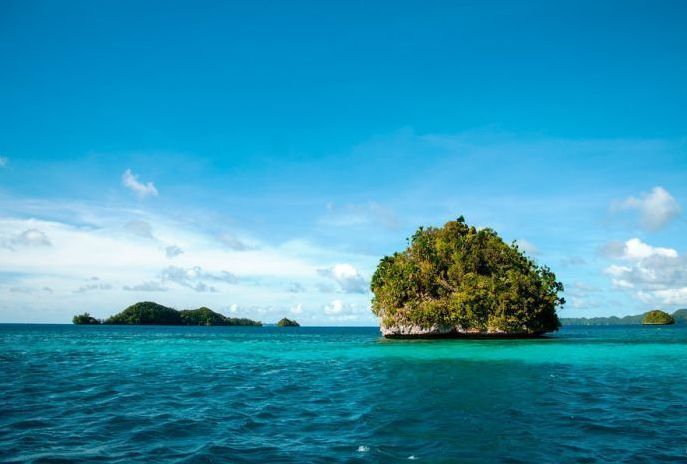 Jellyfish Lake, Eil Malk island, Palau, Pacific Ocean