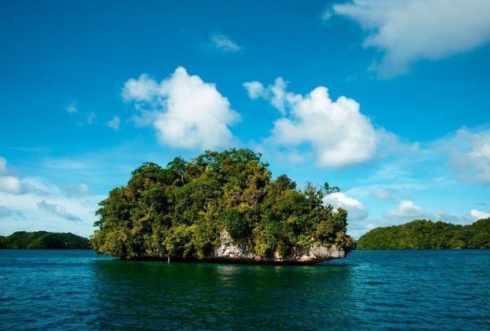 Jellyfish Lake, Eil Malk island, Palau, Pacific Ocean