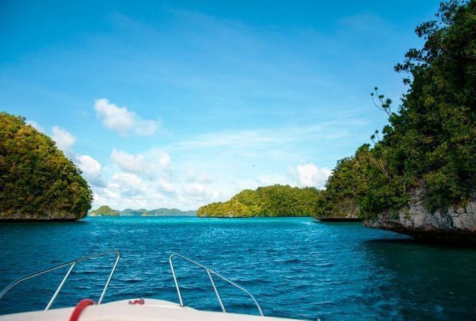 Jellyfish Lake, Eil Malk island, Palau, Pacific Ocean