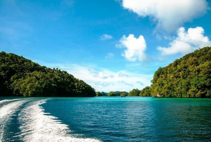 Jellyfish Lake, Eil Malk island, Palau, Pacific Ocean