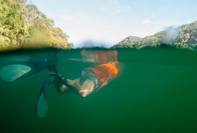 Jellyfish Lake, Eil Malk island, Palau, Pacific Ocean