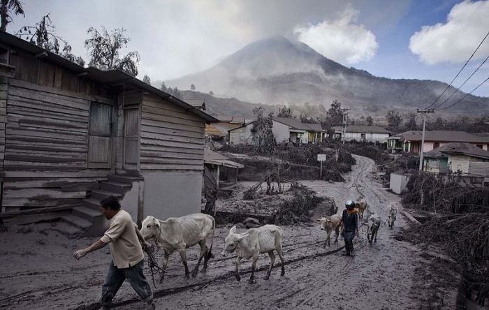 Mount Sinabung, January 2014 eruption, Karo Regency, North Sumatra, Indonesia