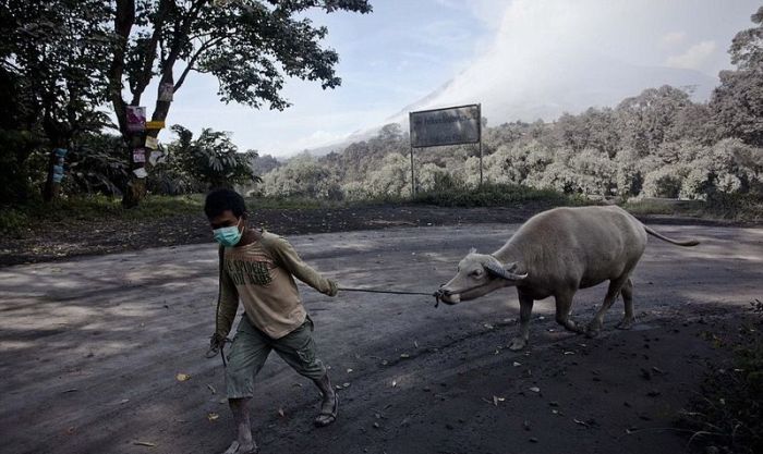 Mount Sinabung, January 2014 eruption, Karo Regency, North Sumatra, Indonesia