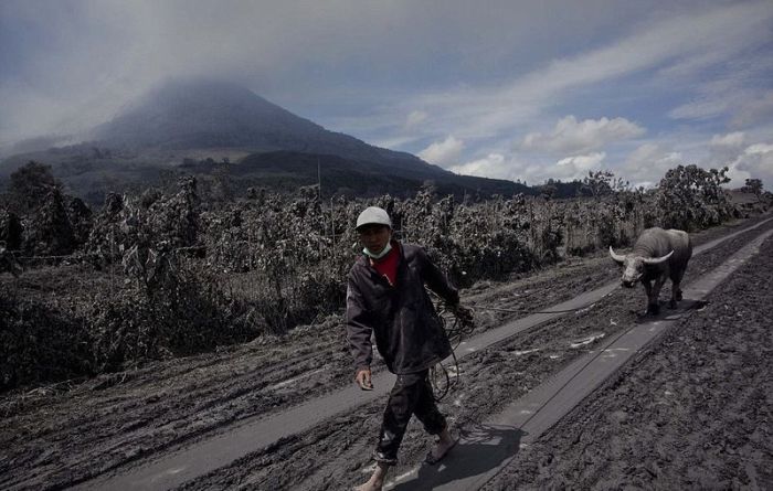 Mount Sinabung, January 2014 eruption, Karo Regency, North Sumatra, Indonesia