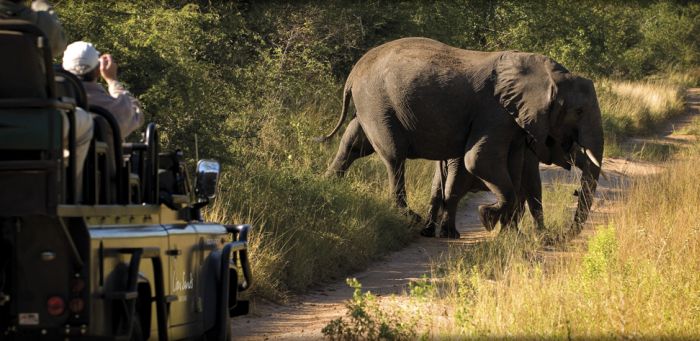 Lion Sands Private Game Reserve, Kruger National Park, South Africa