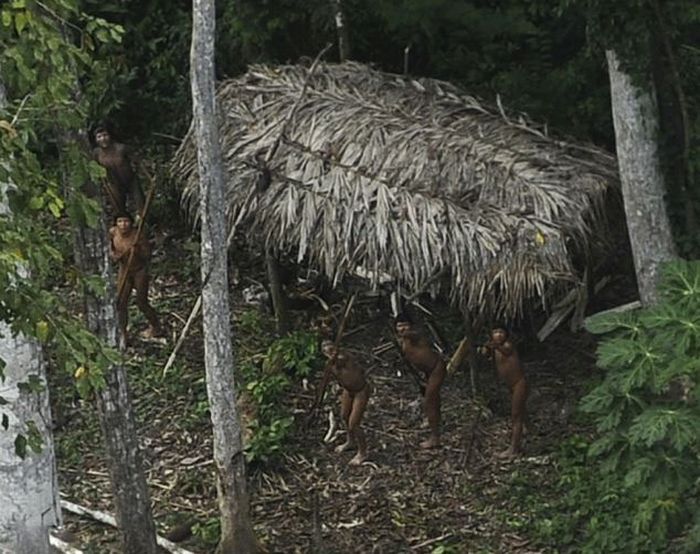 Lost uncontacted tribe, Alto Tarauacá, Acre state, Brazil