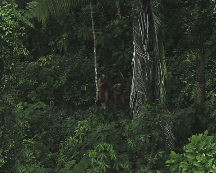 Lost uncontacted tribe, Alto Tarauacá, Acre state, Brazil