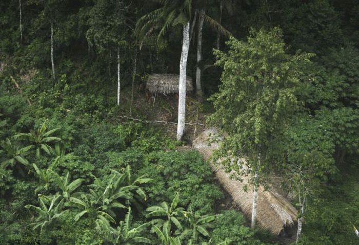 Lost uncontacted tribe, Alto Tarauacá, Acre state, Brazil