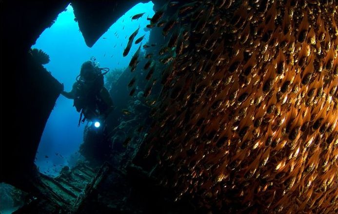 Chuuk Lagoon, Chuuk State, Federated States of Micronesia, Pacific Ocean