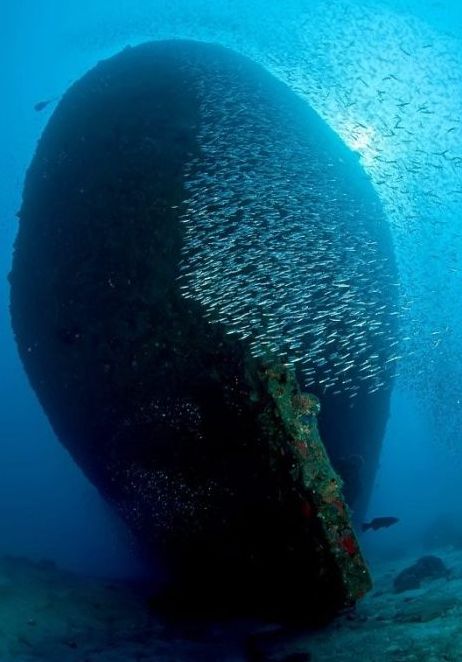 Chuuk Lagoon, Chuuk State, Federated States of Micronesia, Pacific Ocean