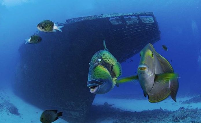 Chuuk Lagoon, Chuuk State, Federated States of Micronesia, Pacific Ocean