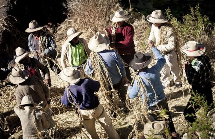 Cusco Inca rope bridge, Apurimac Canyon, Cuzco Province, Peru