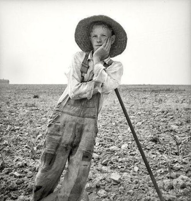 History: The Great Depression by Dorothea Lange, 1939-1943, United States