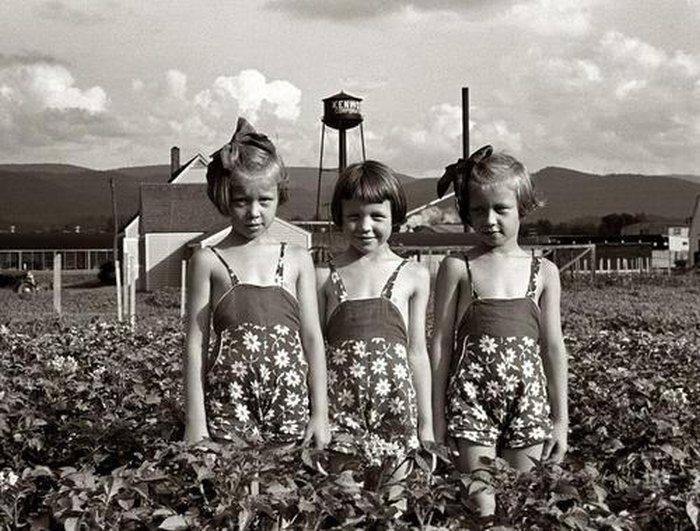 History: The Great Depression by Dorothea Lange, 1939-1943, United States