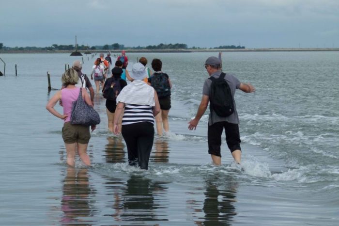 Le Passage de Gois ou Gôa, Île de Noirmoutier, Beauvoir-sur-Mer, Vendée, Pays de la Loire, France, Atlantic Ocean