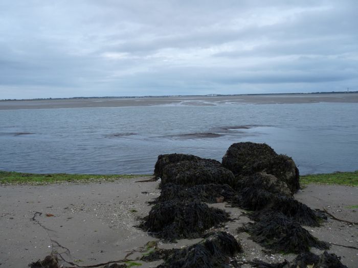 Le Passage de Gois ou Gôa, Île de Noirmoutier, Beauvoir-sur-Mer, Vendée, Pays de la Loire, France, Atlantic Ocean