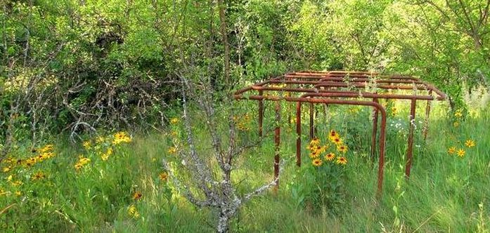 Chernobyl Nuclear Power Plant exclusion zone, Pripyat, Ivankiv Raion, Ukraine