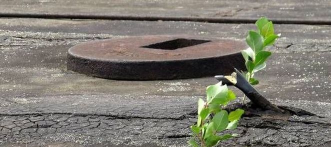 Chernobyl Nuclear Power Plant exclusion zone, Pripyat, Ivankiv Raion, Ukraine