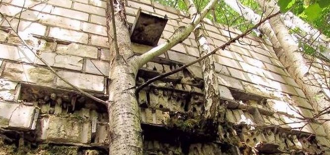 Chernobyl Nuclear Power Plant exclusion zone, Pripyat, Ivankiv Raion, Ukraine