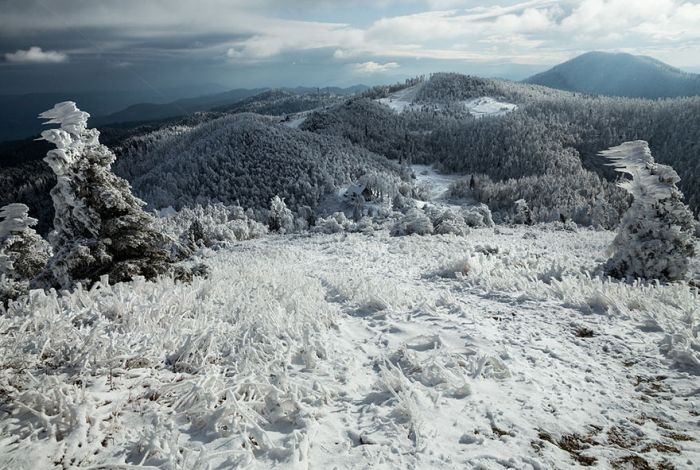 Extreme windswept ice formations by Marko Korošec, Mount Javornik, Dinarides, Slovenia