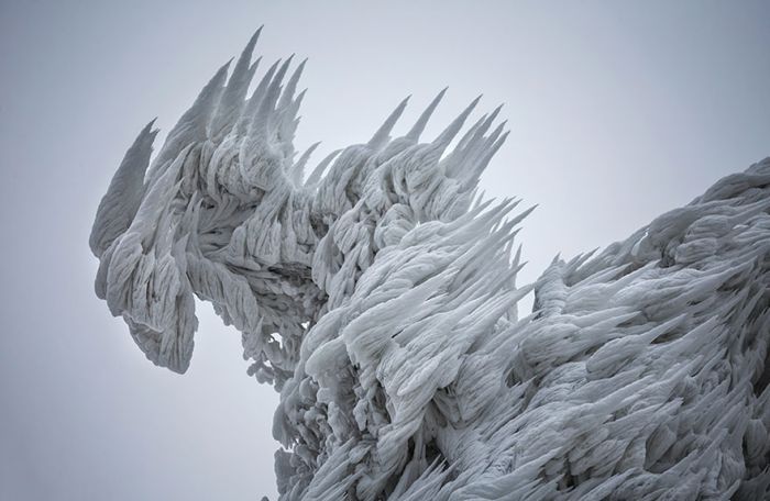 Extreme windswept ice formations by Marko Korošec, Mount Javornik, Dinarides, Slovenia