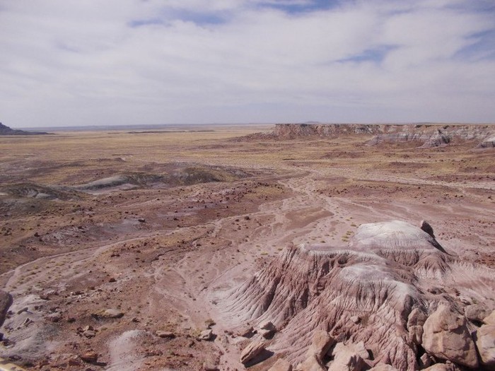 Petrified Forest National Park, Navajo, Apache, Arizona, United States