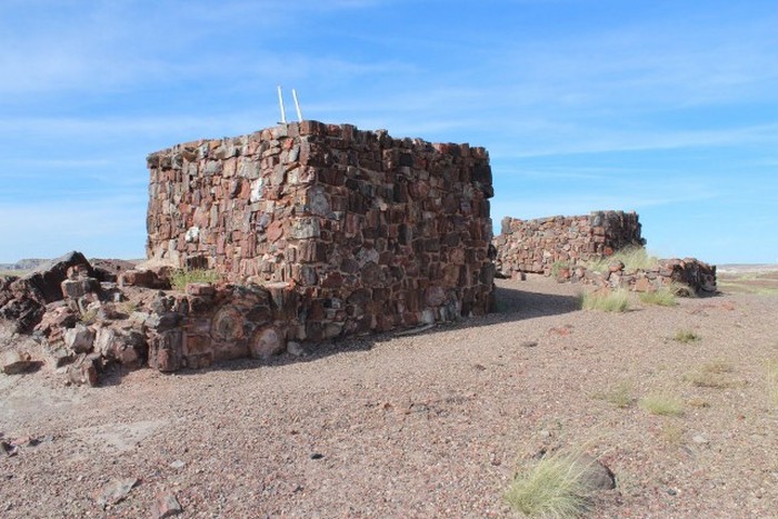 Petrified Forest National Park, Navajo, Apache, Arizona, United States