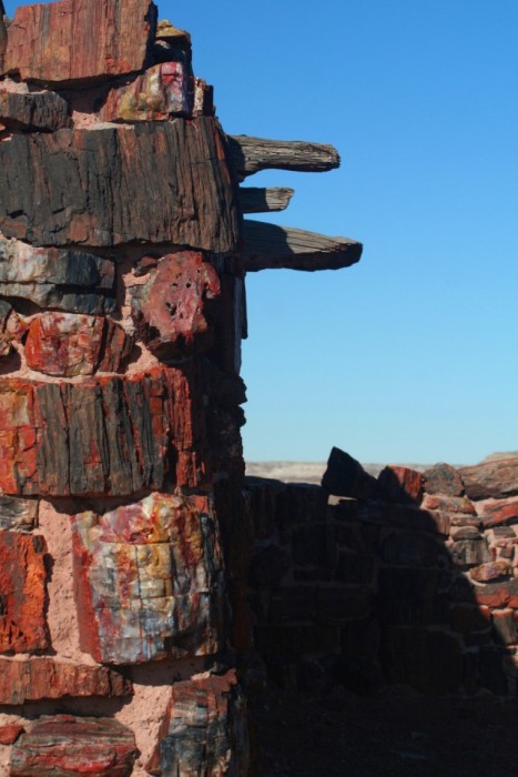 Petrified Forest National Park, Navajo, Apache, Arizona, United States