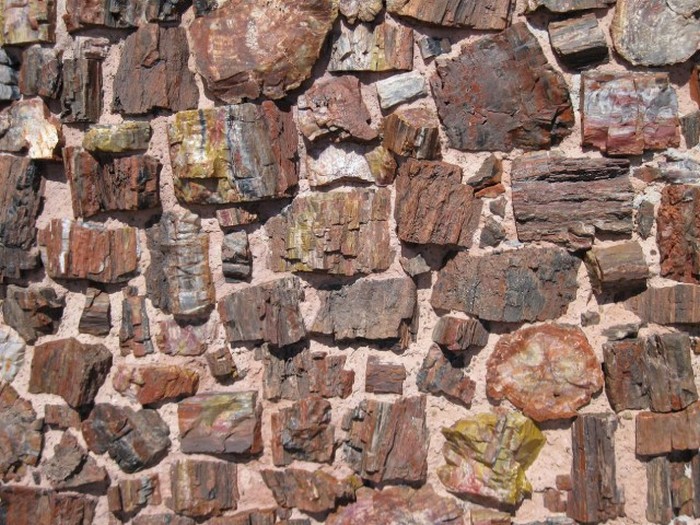 Petrified Forest National Park, Navajo, Apache, Arizona, United States