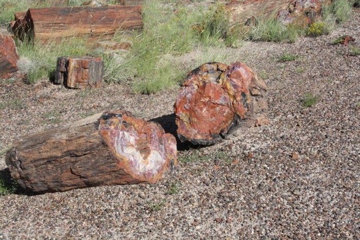 Petrified Forest National Park, Navajo, Apache, Arizona, United States