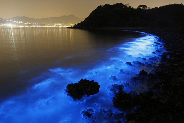 Bioluminescent phytoplankton, Hong Kong, China
