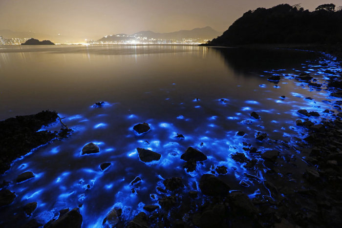 Bioluminescent phytoplankton, Hong Kong, China