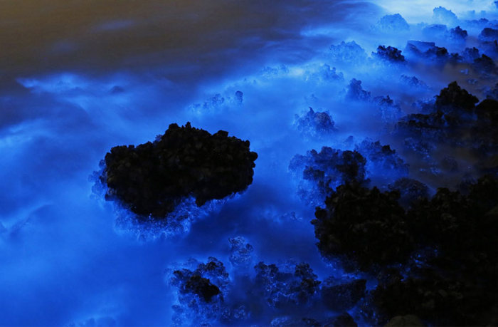 Bioluminescent phytoplankton, Hong Kong, China