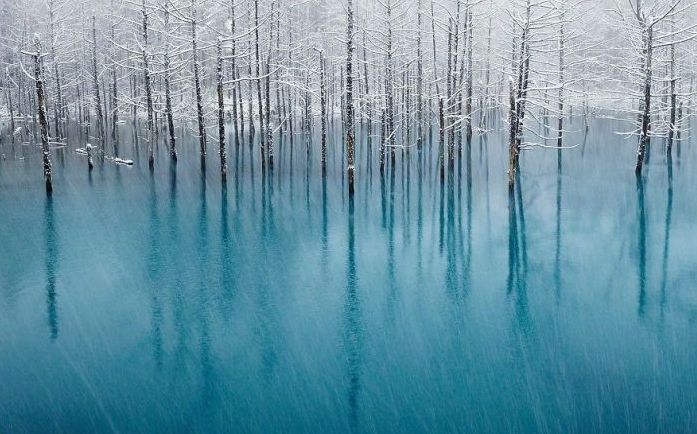 Aoiike, Blue Pond, Biei, Shirogane Onsen, Kamikawa (Ishikari) District, Hokkaido, Japan