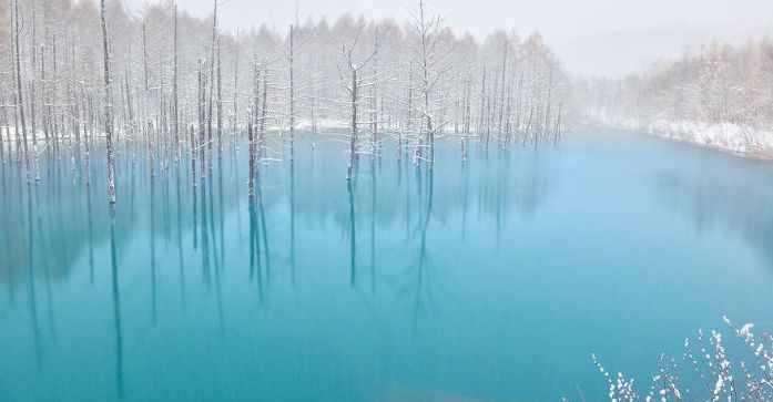 Aoiike, Blue Pond, Biei, Shirogane Onsen, Kamikawa (Ishikari) District, Hokkaido, Japan