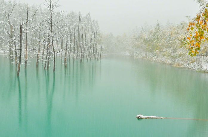 Aoiike, Blue Pond, Biei, Shirogane Onsen, Kamikawa (Ishikari) District, Hokkaido, Japan