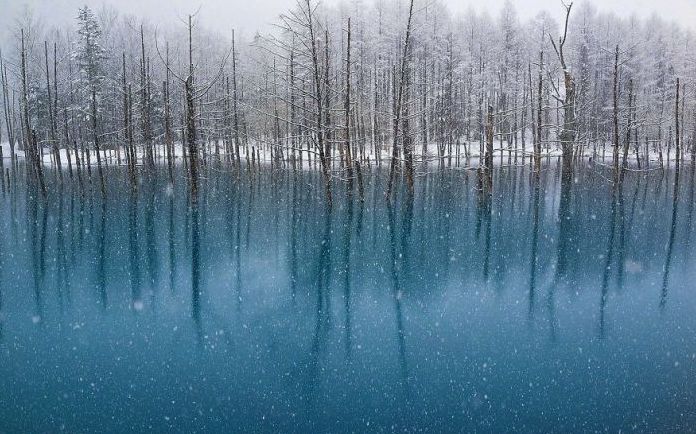 Aoiike, Blue Pond, Biei, Shirogane Onsen, Kamikawa (Ishikari) District, Hokkaido, Japan